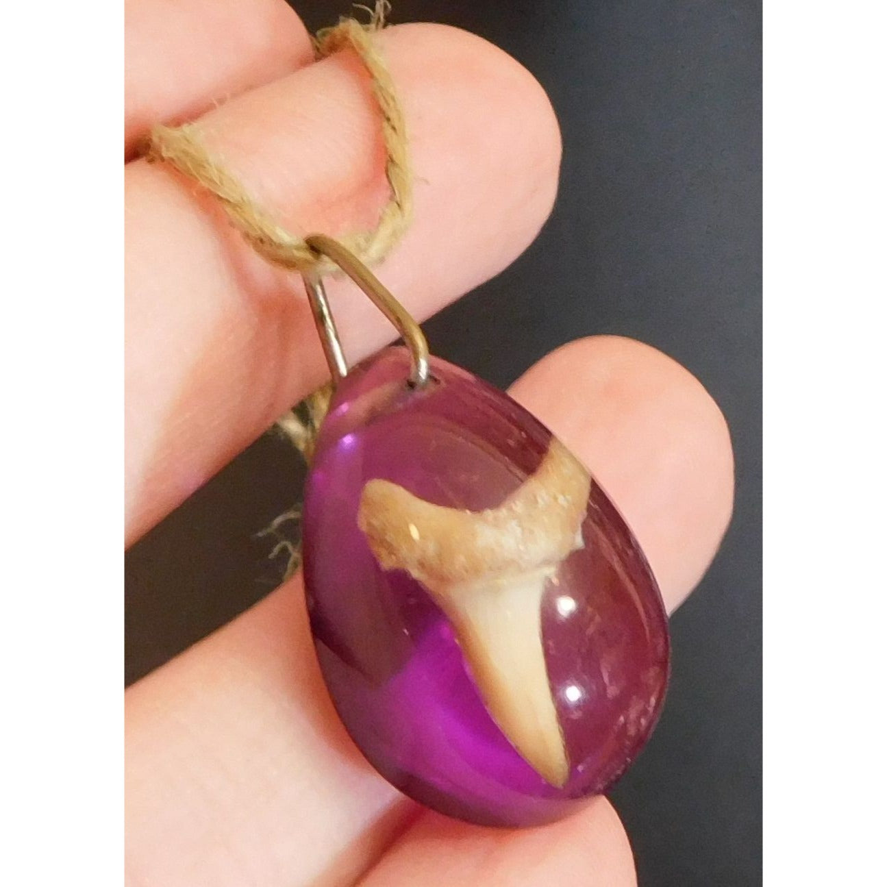 Purple Teardrop Shark Tooth Pendant Necklace