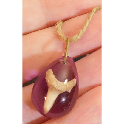 Purple Teardrop Shark Tooth Pendant Necklace