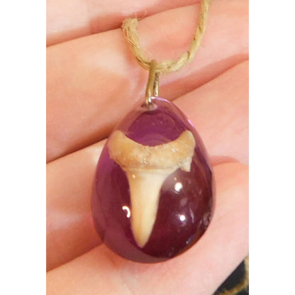 Purple Teardrop Shark Tooth Pendant Necklace