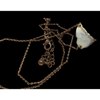 Souvenir South Carolina Silver And Gold Tone Pendant Necklace