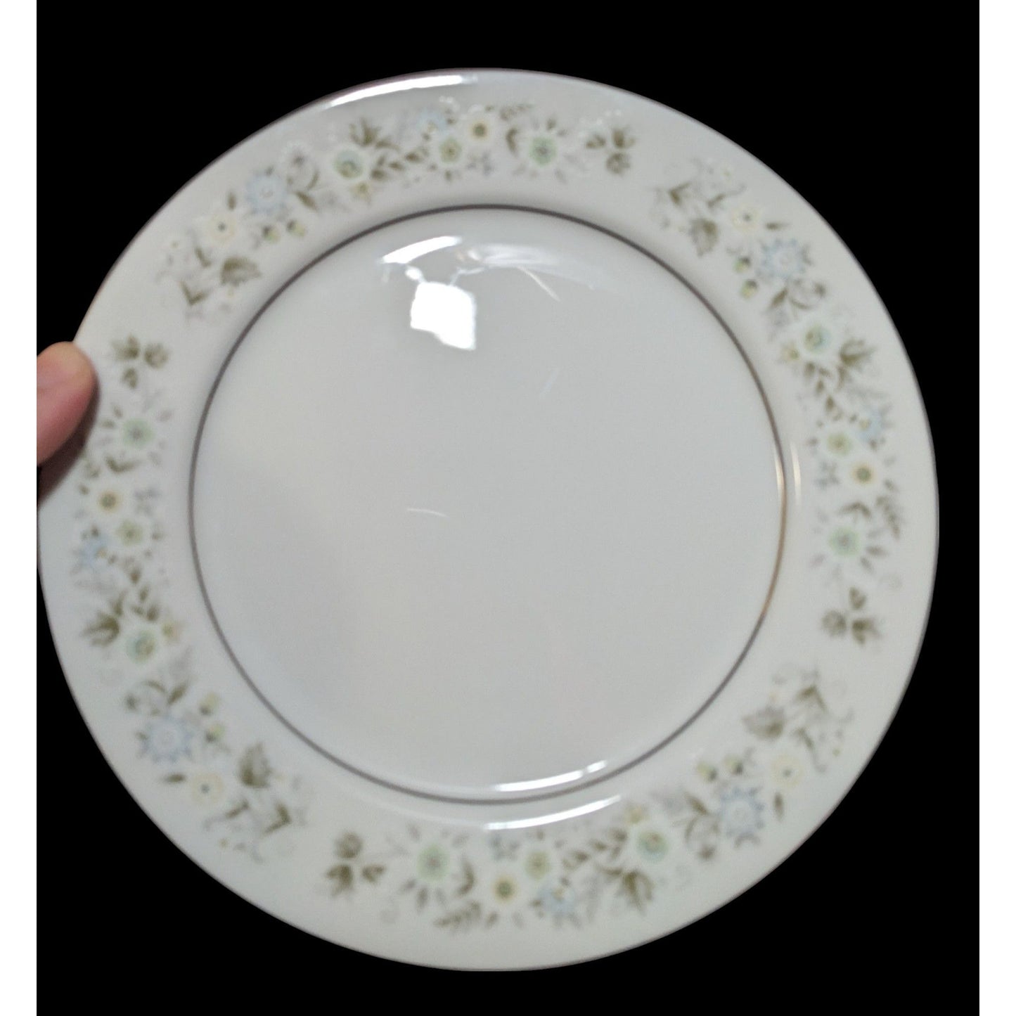 Vintage Imperial China W Dalton 745 Wildflower Plate Set (6)