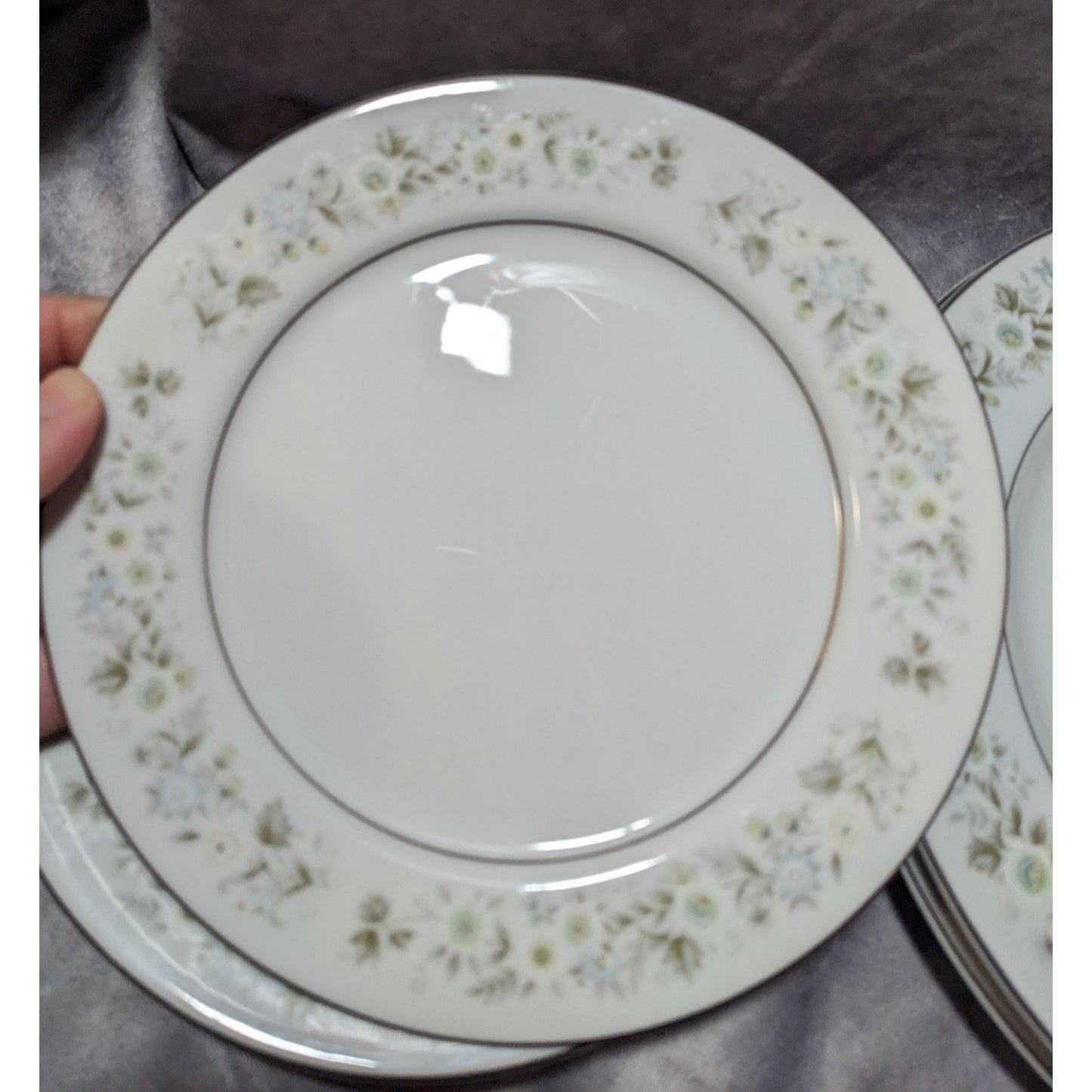 Vintage Imperial China W Dalton 745 Wildflower Plate Set (6)