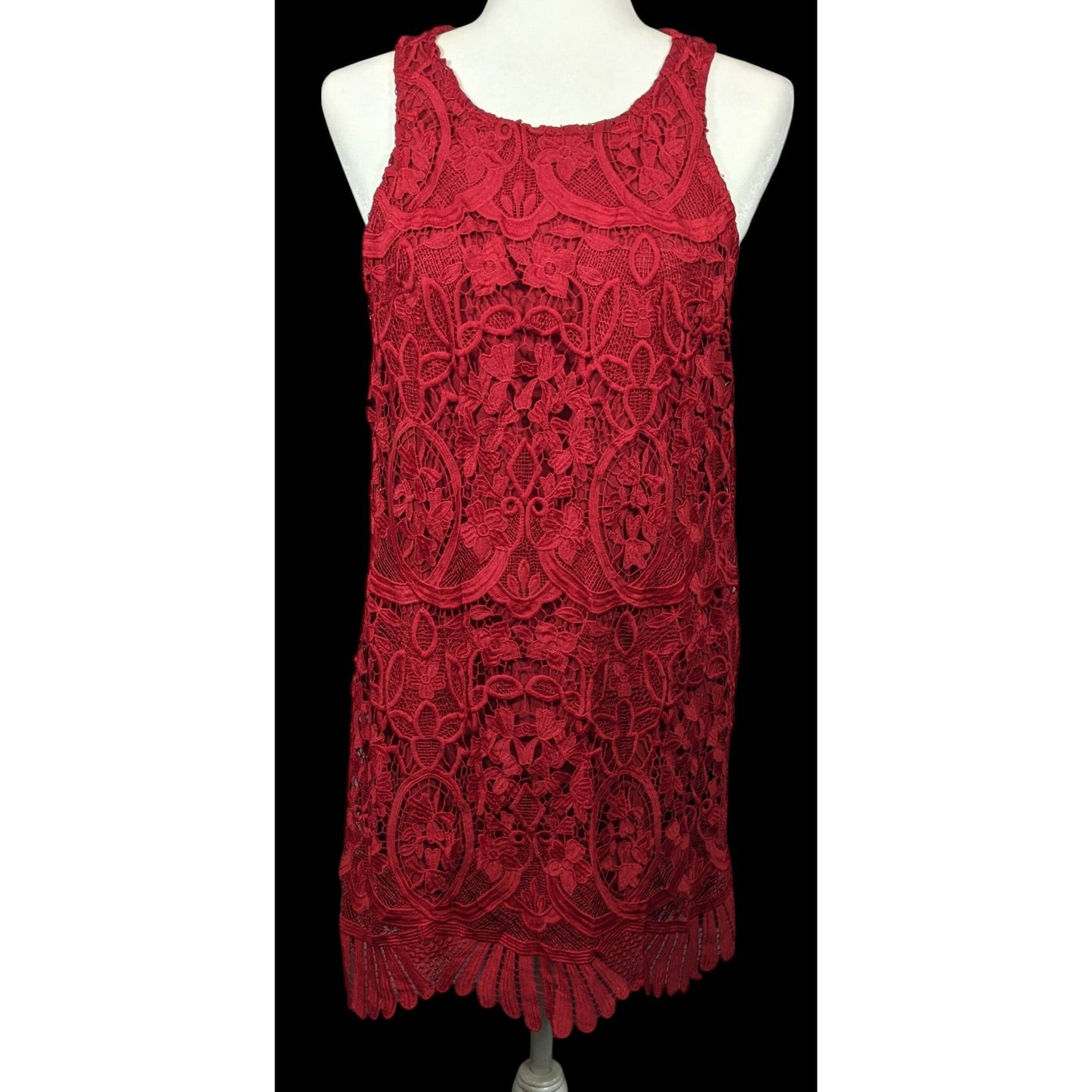 Lovers + Friends Caspian Red Lace Shift Dress Size Large