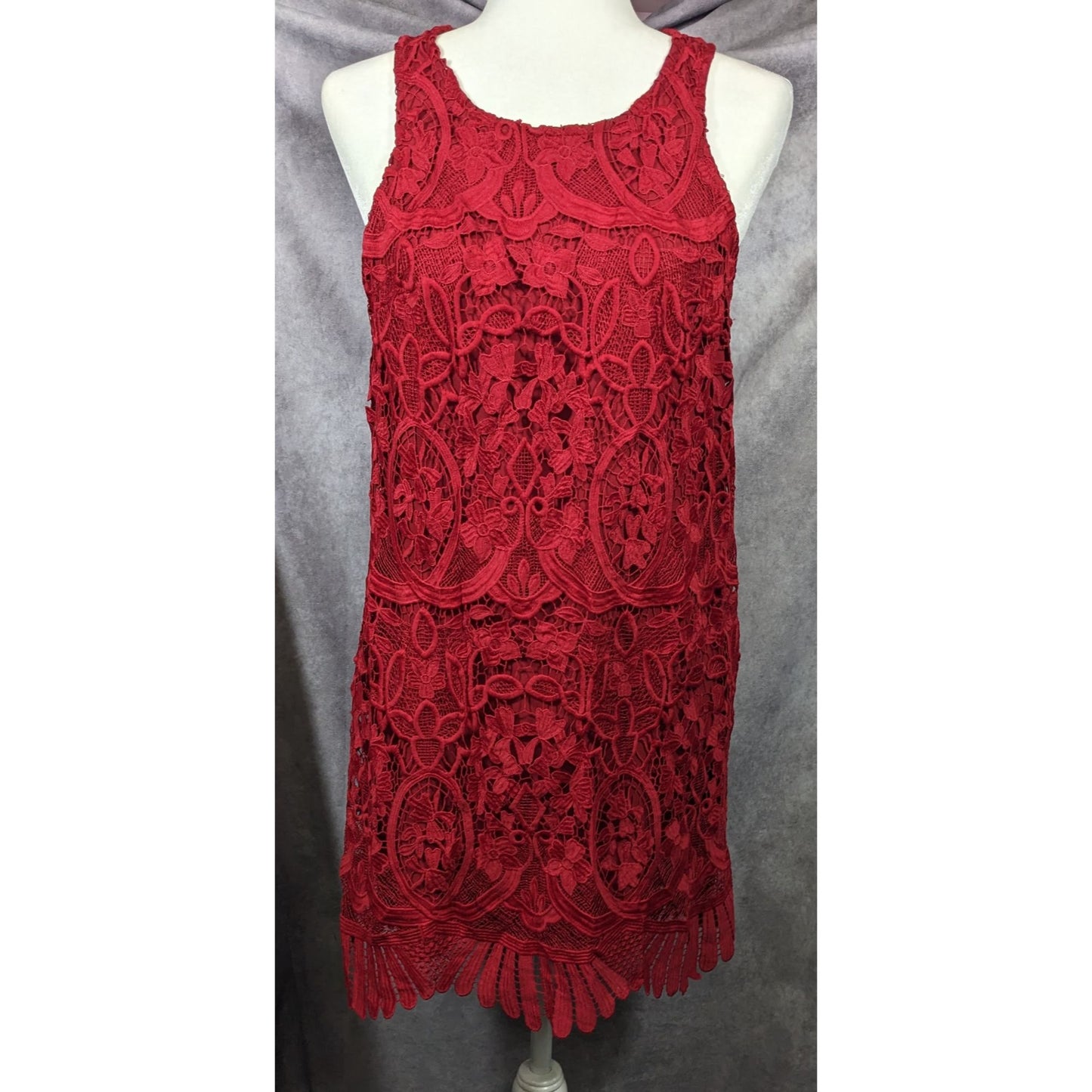 Lovers + Friends Caspian Red Lace Shift Dress Size Large
