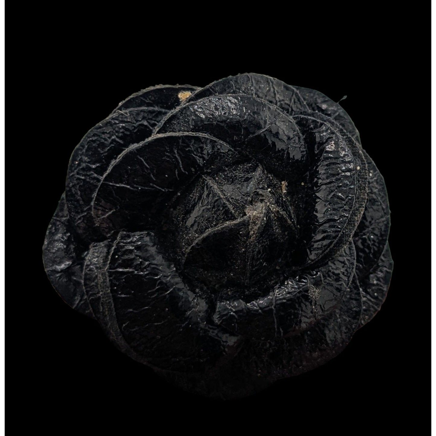 Whimsygoth Faux Leather Floral Ring Size 8 (Adjustable)