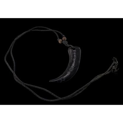 Carved Resin Claw Pendant Necklace Adjustable Black Cord Tribal Gothic Talisman