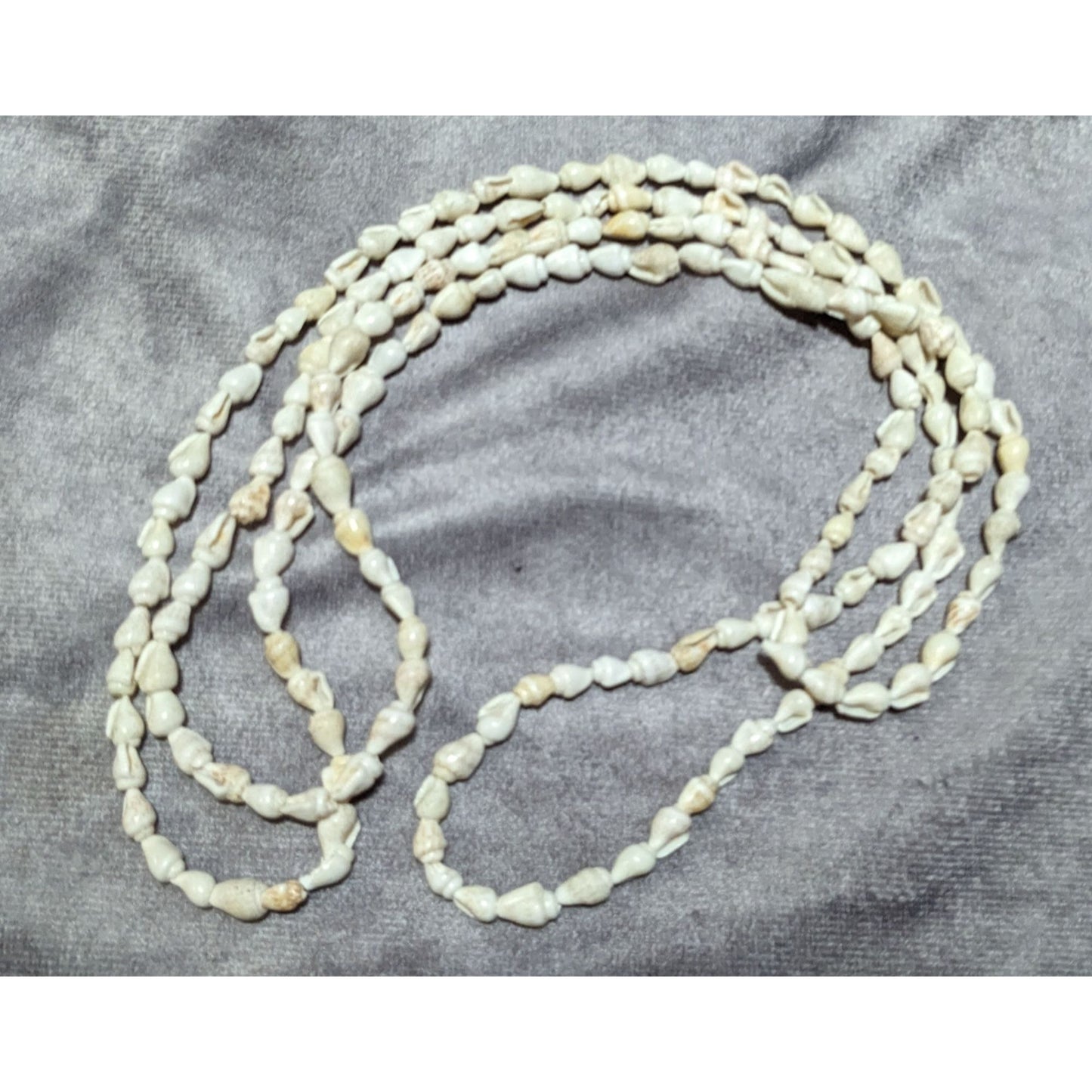 White And Cream Mini Shell Beaded Necklace