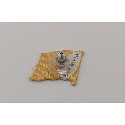 Vintage Argentina Flag Collectible Souvenir Lapel Pin