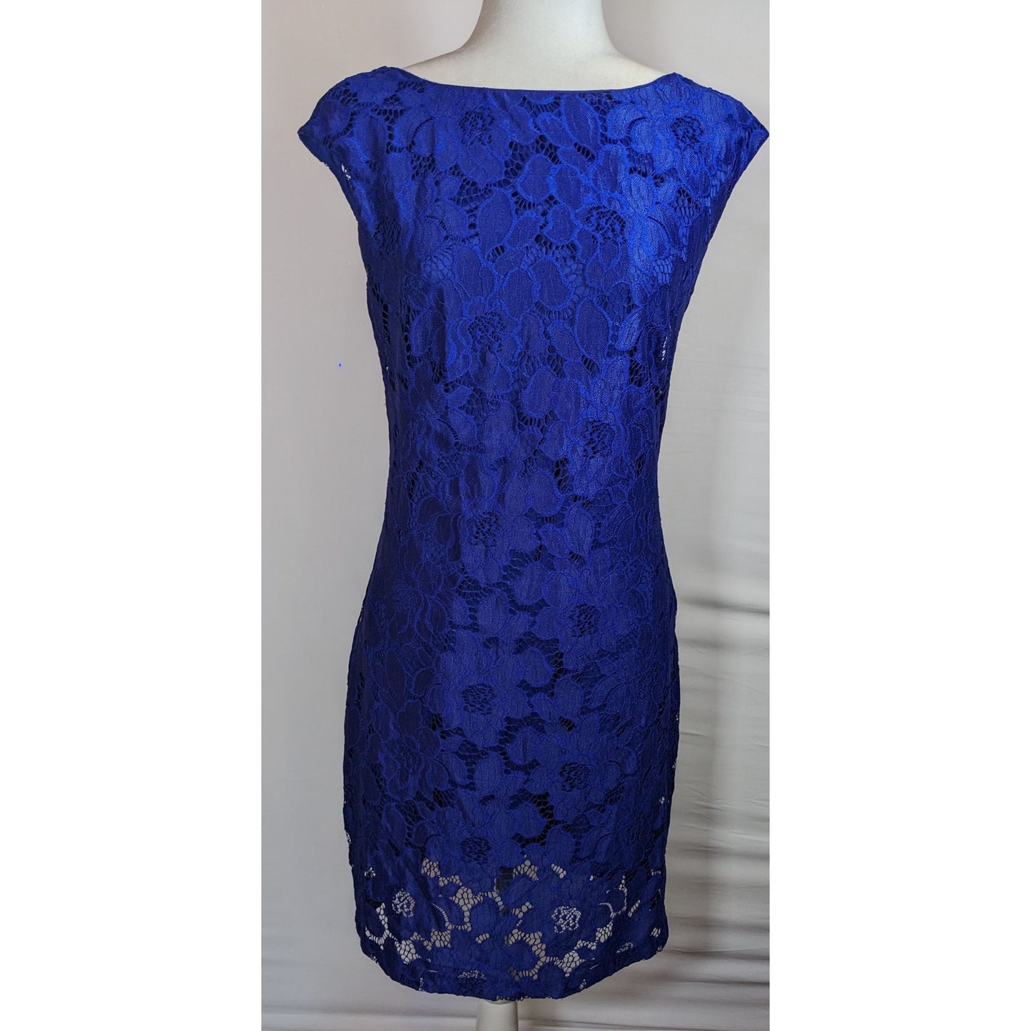 Chaps Preppy Blue Floral Lace Knee Length Dress