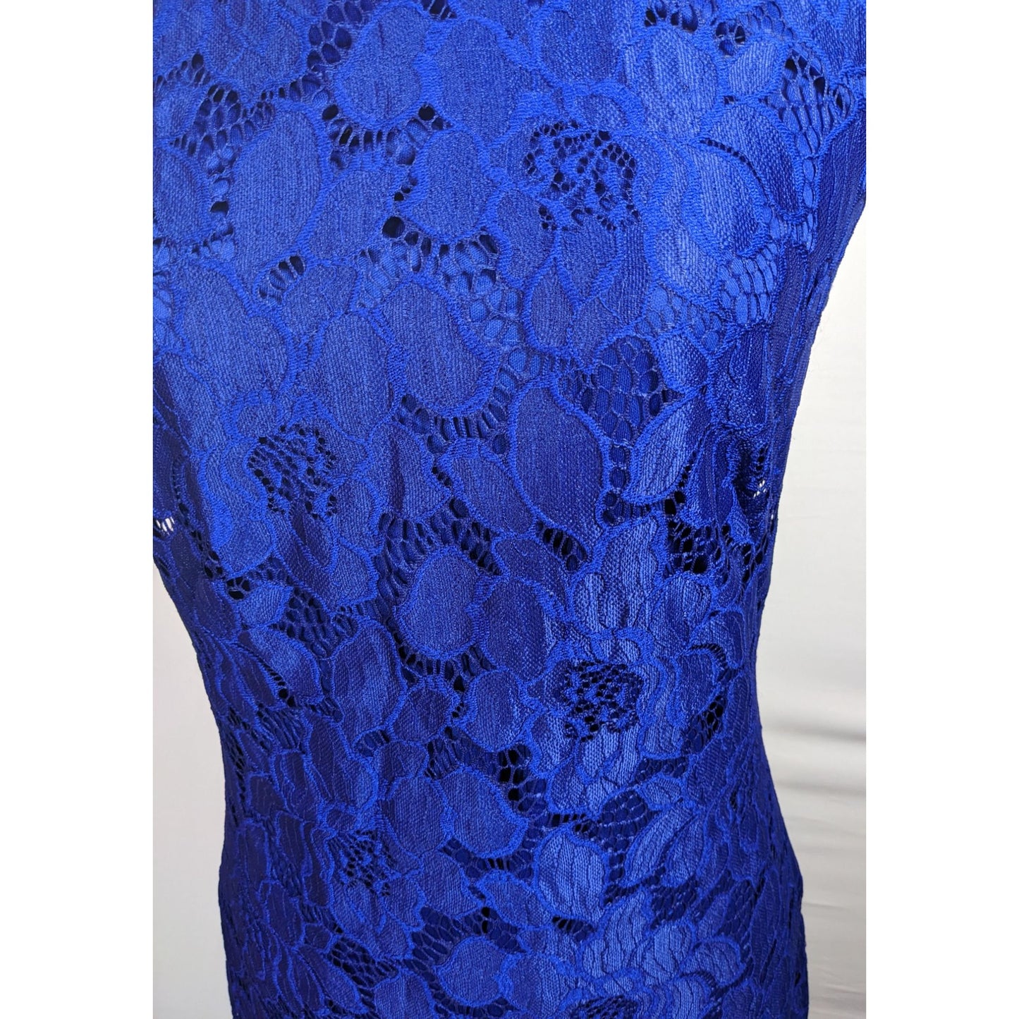 Chaps Preppy Blue Floral Lace Knee Length Dress