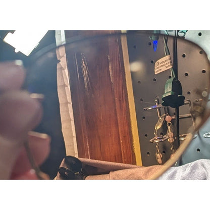 Coach Horse And Carriage Light Gold And Black Aviator Sunglasses