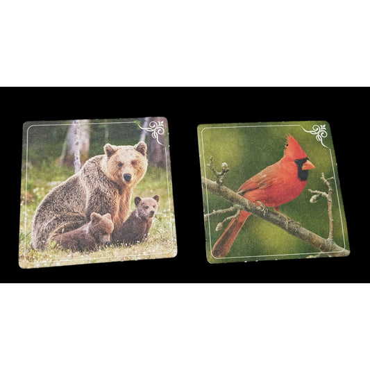 Nature Themed Double Sided Retro Cardboard Collectible Coasters