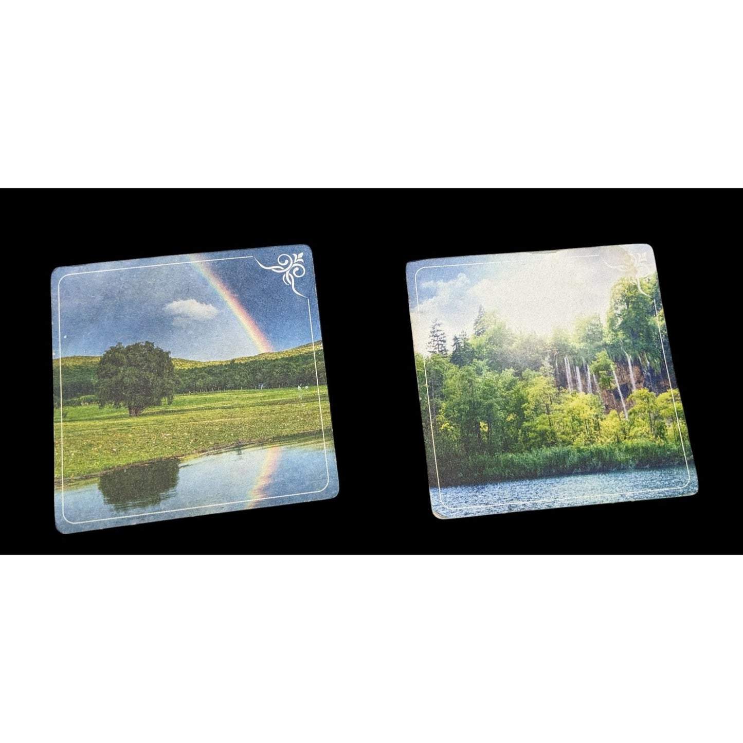 Nature Themed Double Sided Retro Cardboard Collectible Coasters