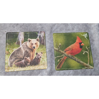 Nature Themed Double Sided Retro Cardboard Collectible Coasters