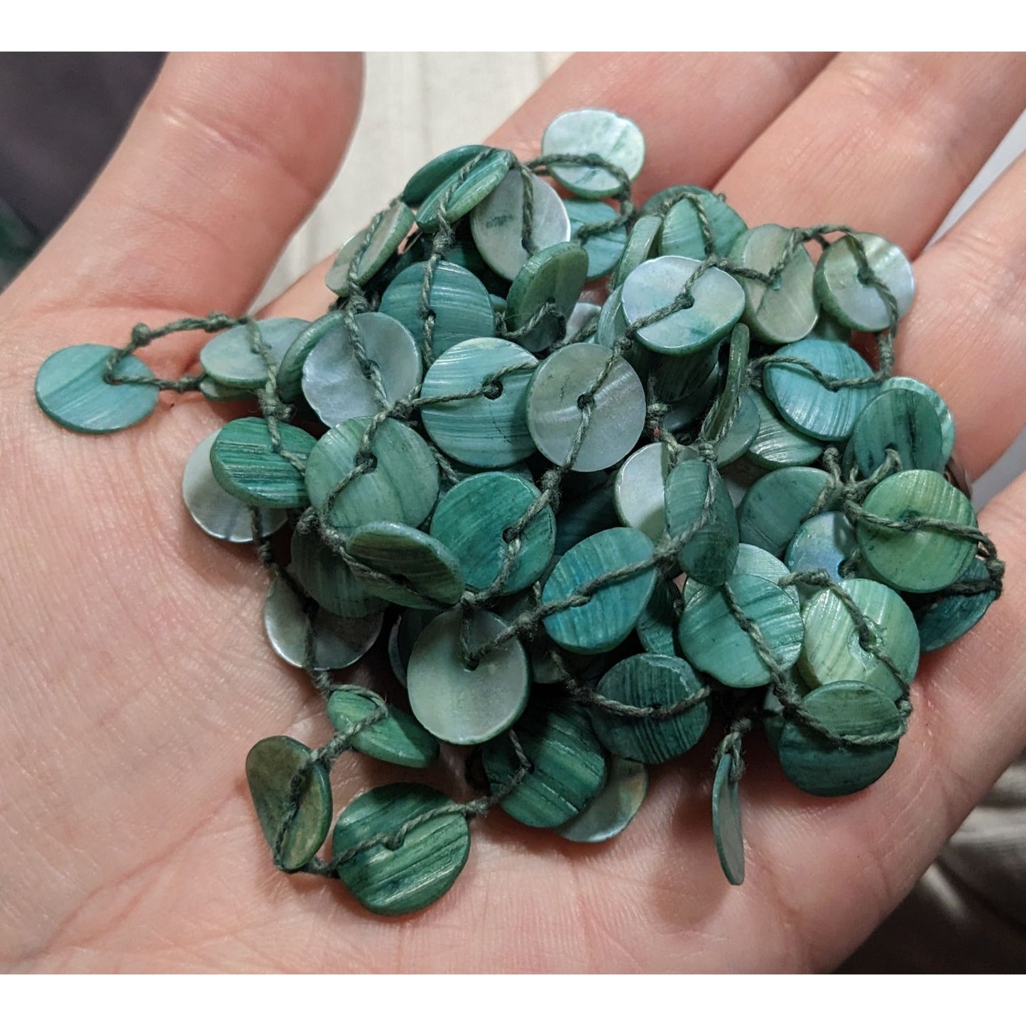 Beachy Mermaidcore Blue Shell Disc Beaded Necklace