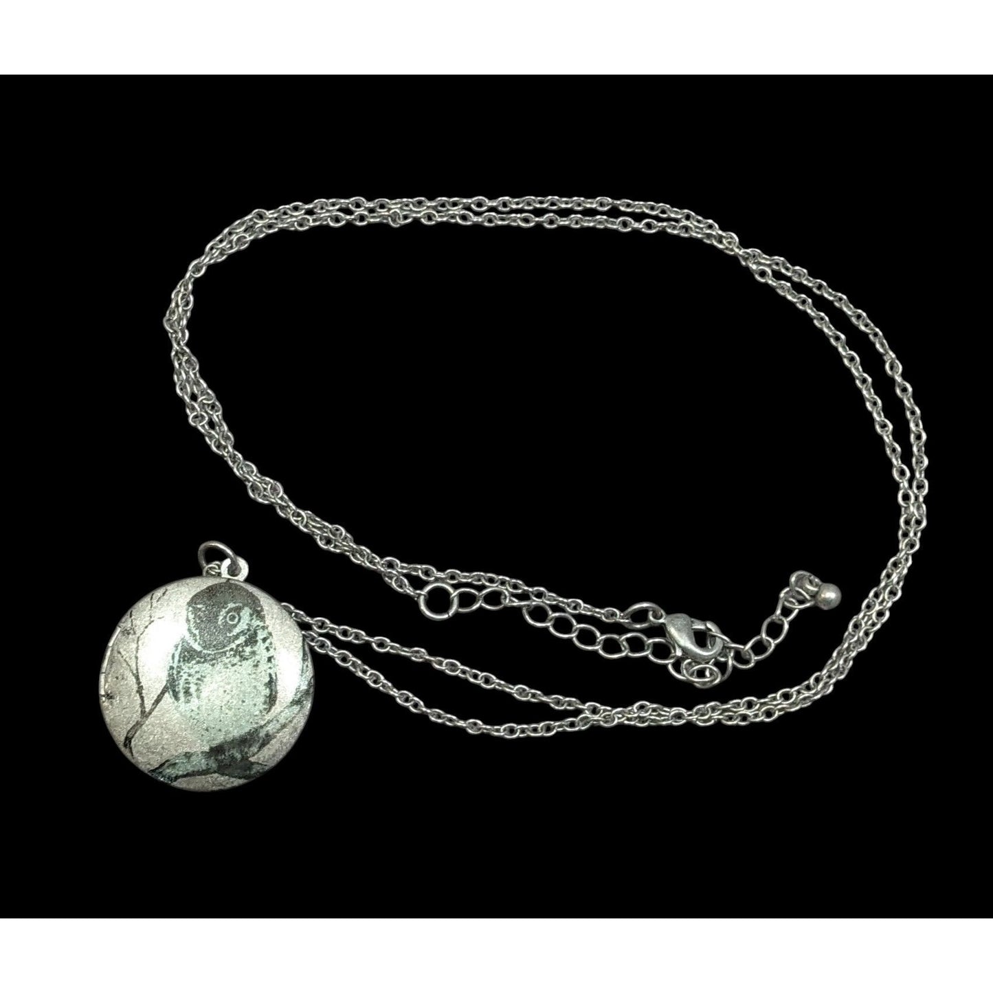 Nature Themed Owl Front Silver Tone Locket Necklace