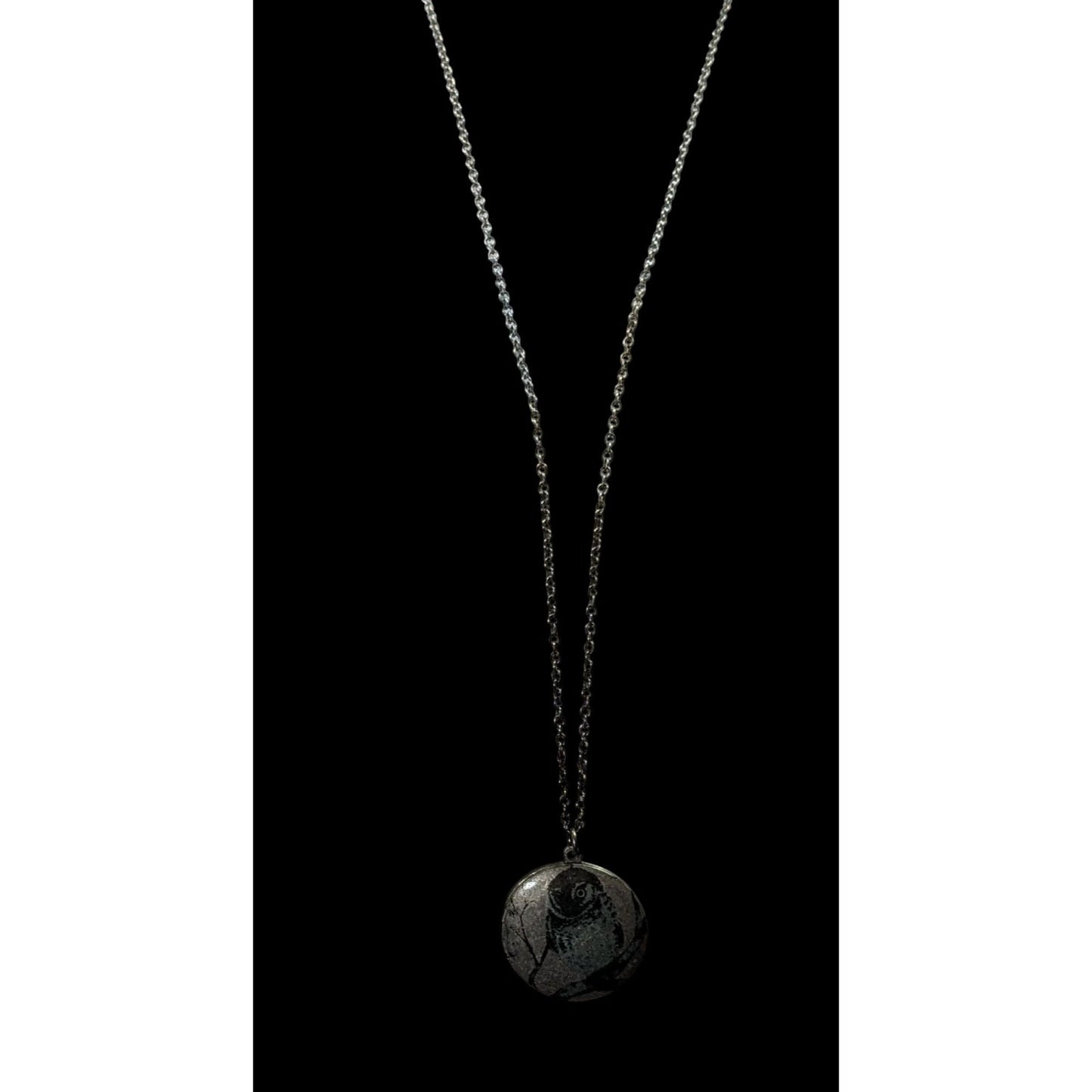 Nature Themed Owl Front Silver Tone Locket Necklace
