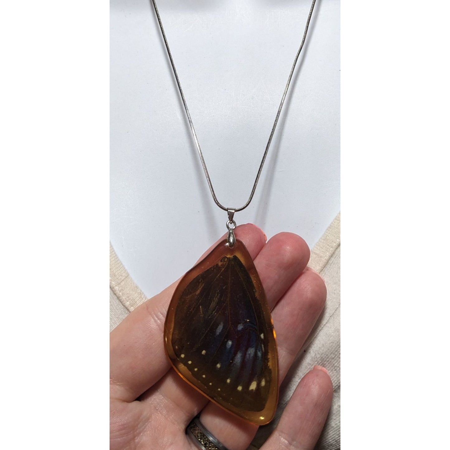 Preserved Butterfly Wing Necklace
