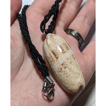 Oliva Shell Pendant Necklace