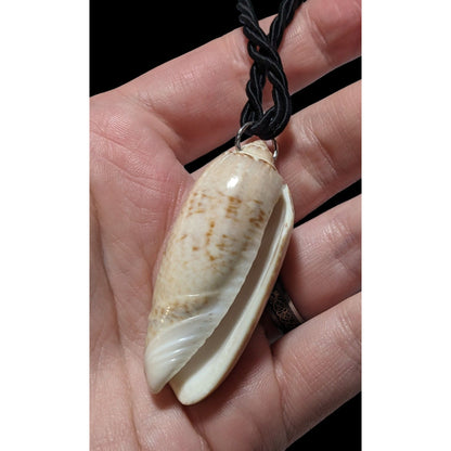 Oliva Shell Pendant Necklace