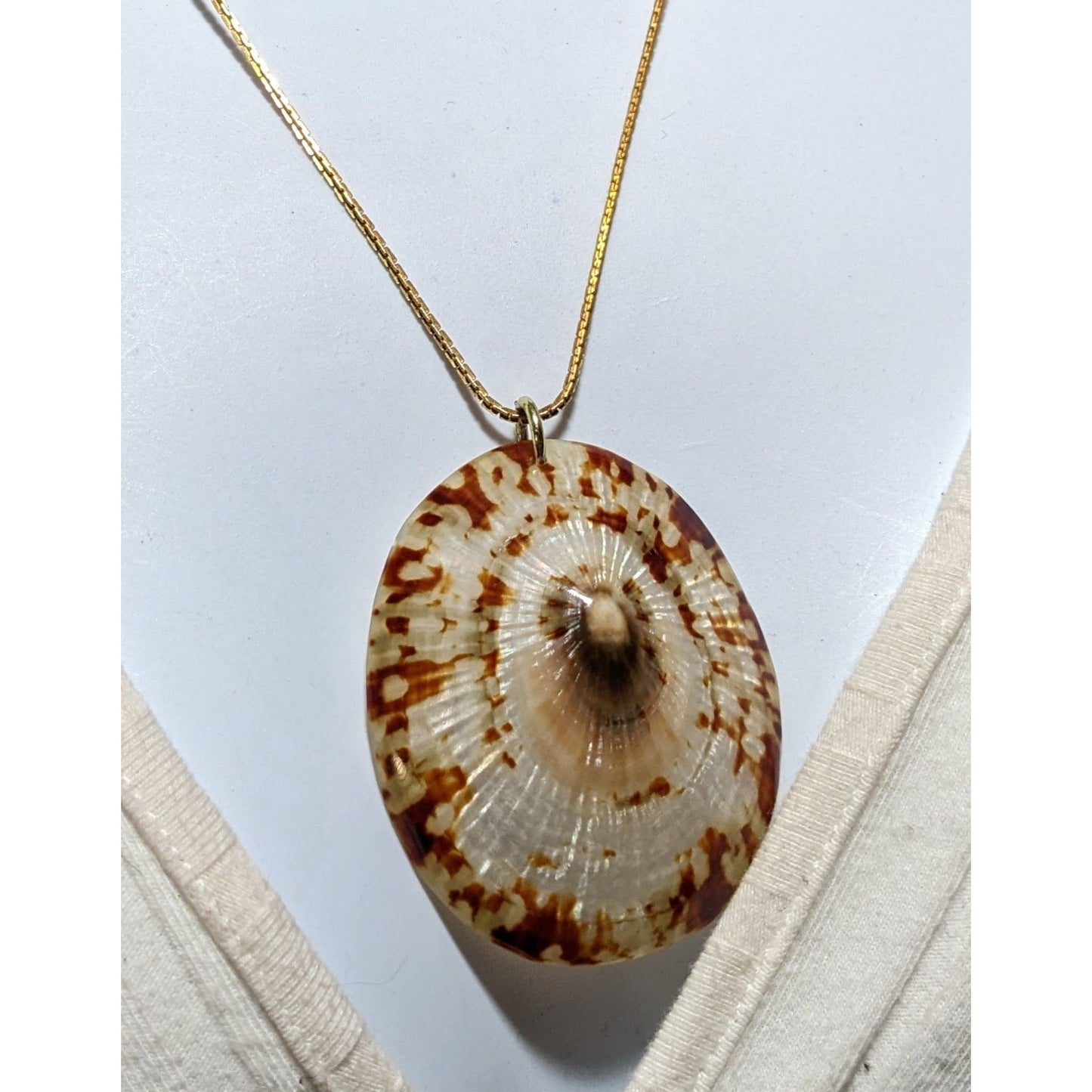 Limpet Shell Pendant Necklace