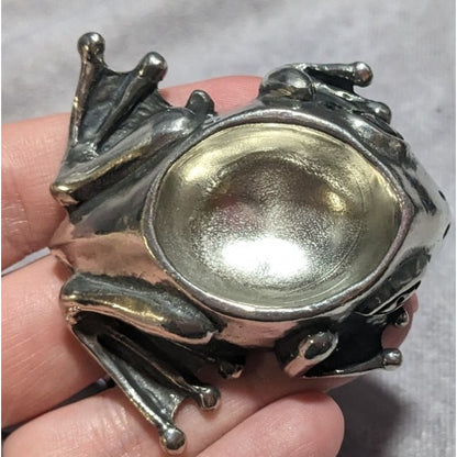 Metal Morphosis Frog Trinket Set
