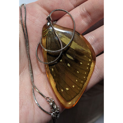 Preserved Butterfly Wing Necklace