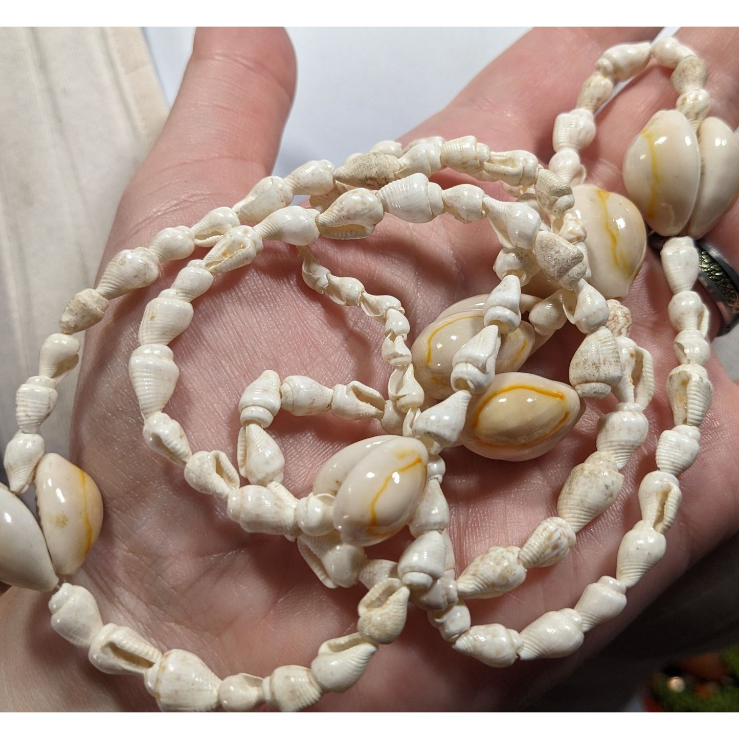 Vintage Beachy Cowrie Mixed Shell Necklace