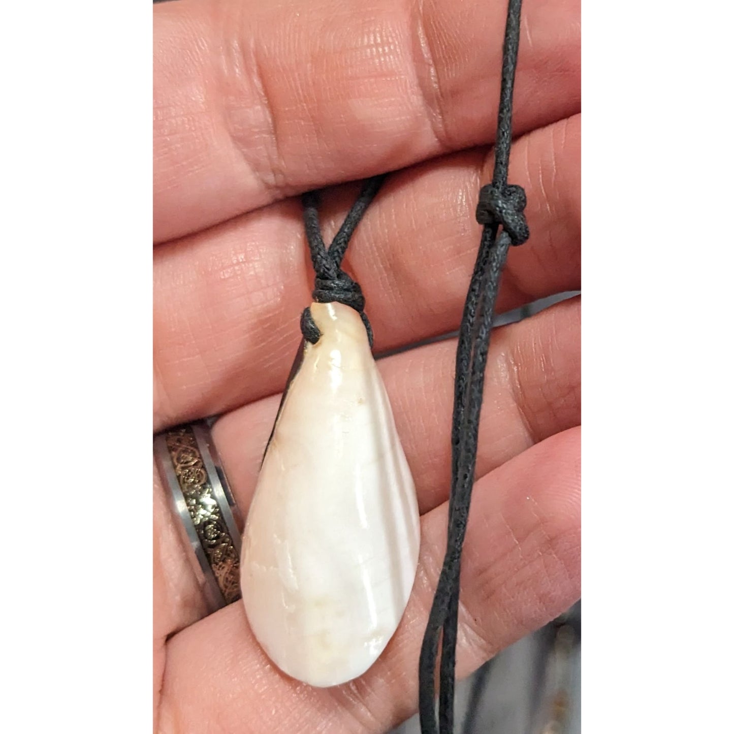 Retro Mermaidcore Sliced Shell Pendant Necklace