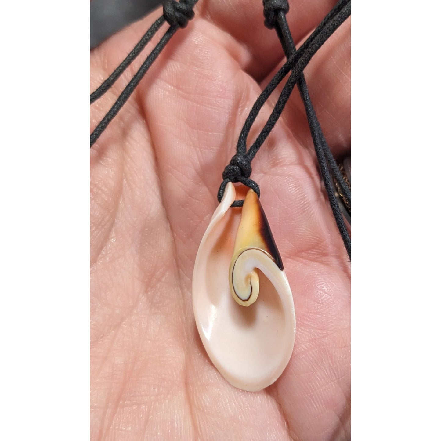 Retro Mermaidcore Sliced Shell Pendant Necklace