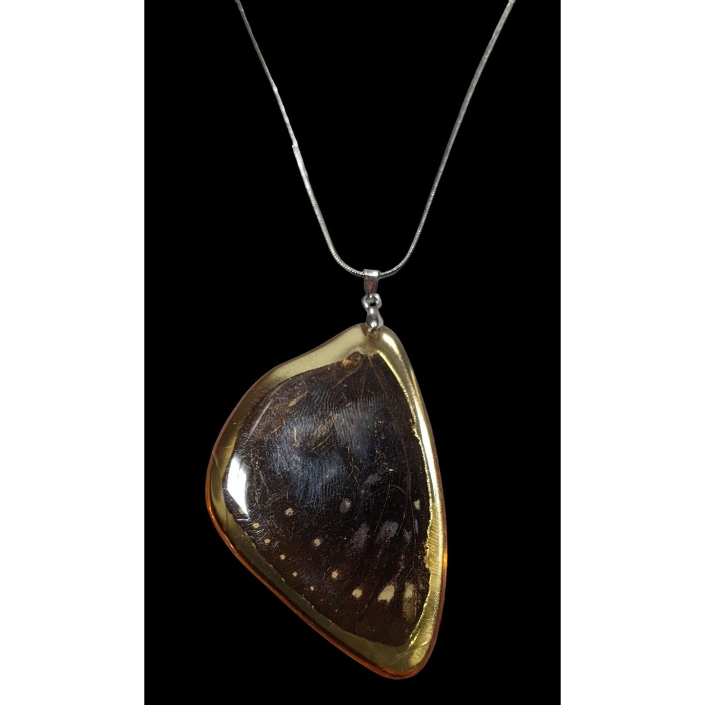 Preserved Butterfly Wing Necklace