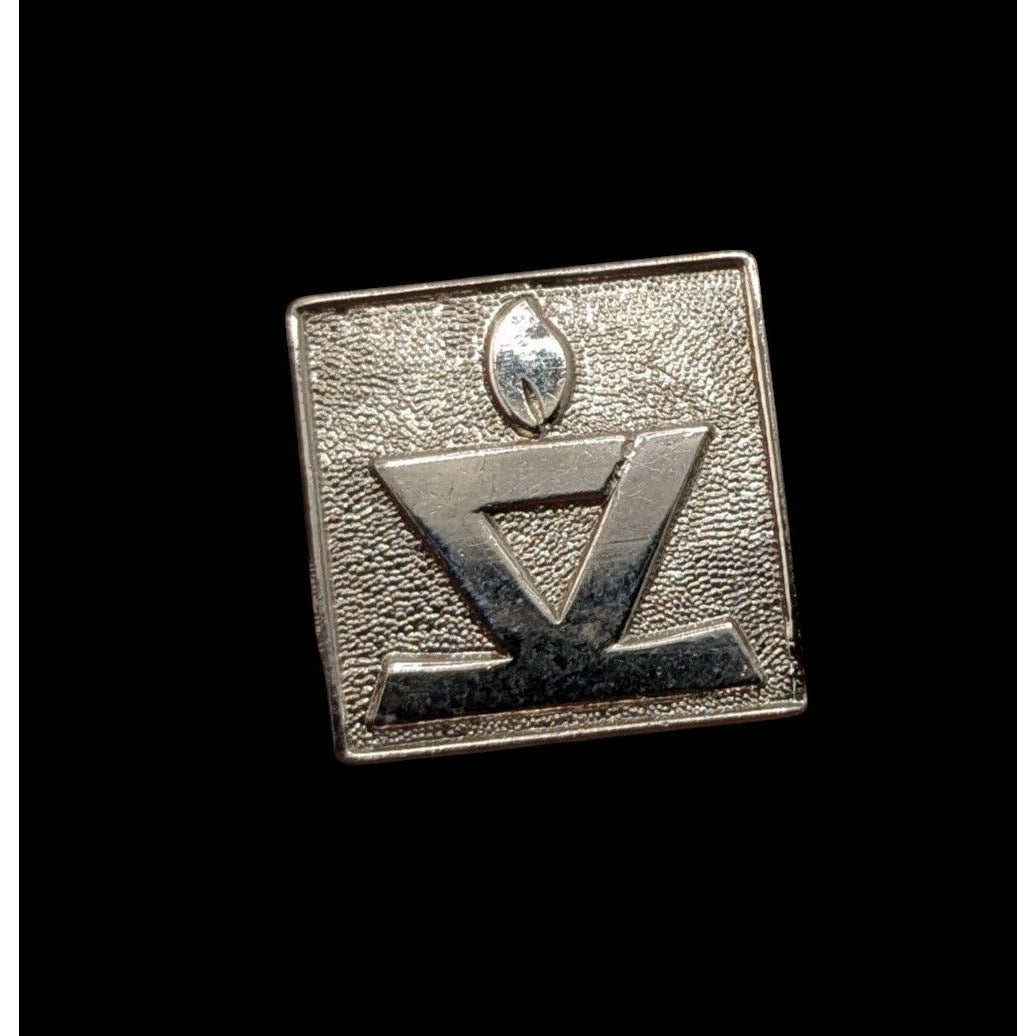 Vintage Delta Omega Academic Honor Society Omega Torch Lapel Pin