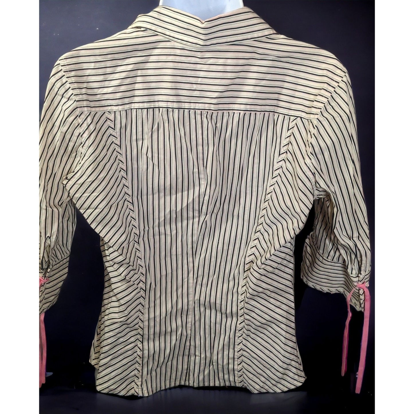 The Limited Striped Blouse