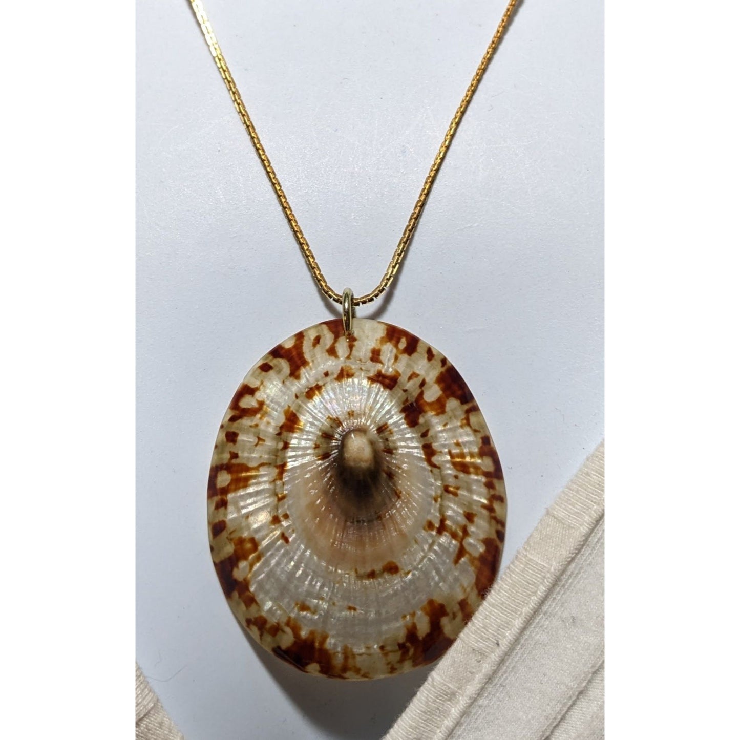 Limpet Shell Pendant Necklace