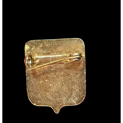 Vintage Ladies Of Charity Enamel Gold-Tone Shield Pin Badge Vintage Religious Emblem