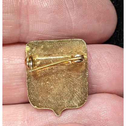 Vintage Ladies Of Charity Enamel Gold-Tone Shield Pin Badge Vintage Religious Emblem