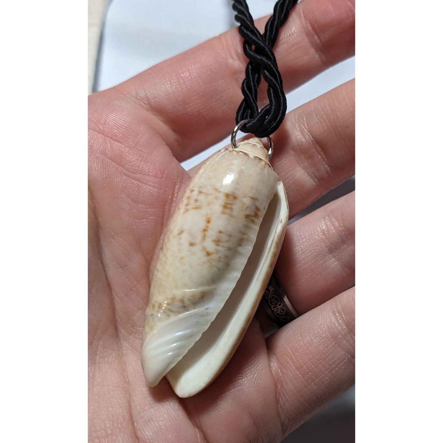 Oliva Shell Pendant Necklace