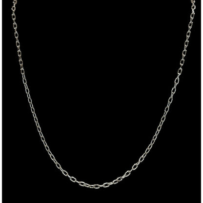 Lia Sophia Silver Chain Necklace Classic Casual Jewelry Minimalist Everyday Accessory