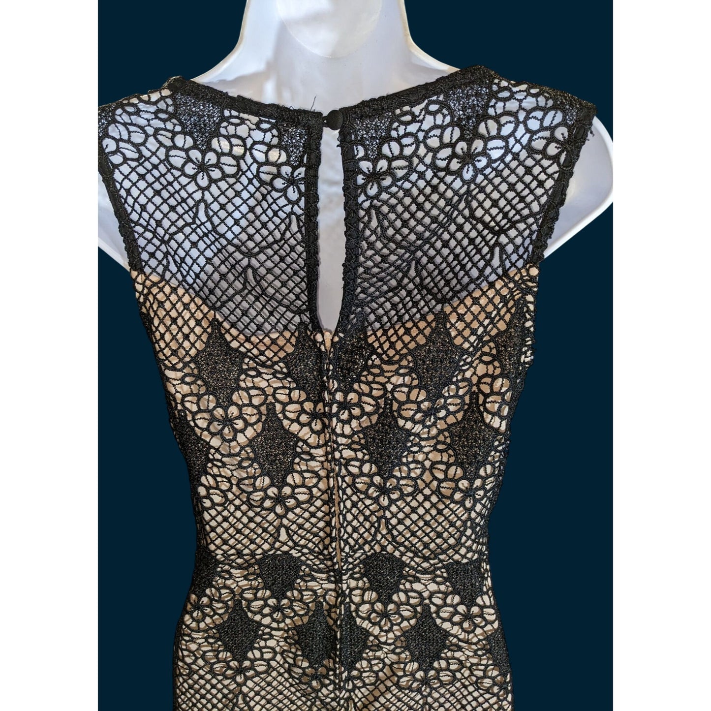 Bisou Bisou Lace Overlay Dress Black Nude Knee Length Elegant Cocktail