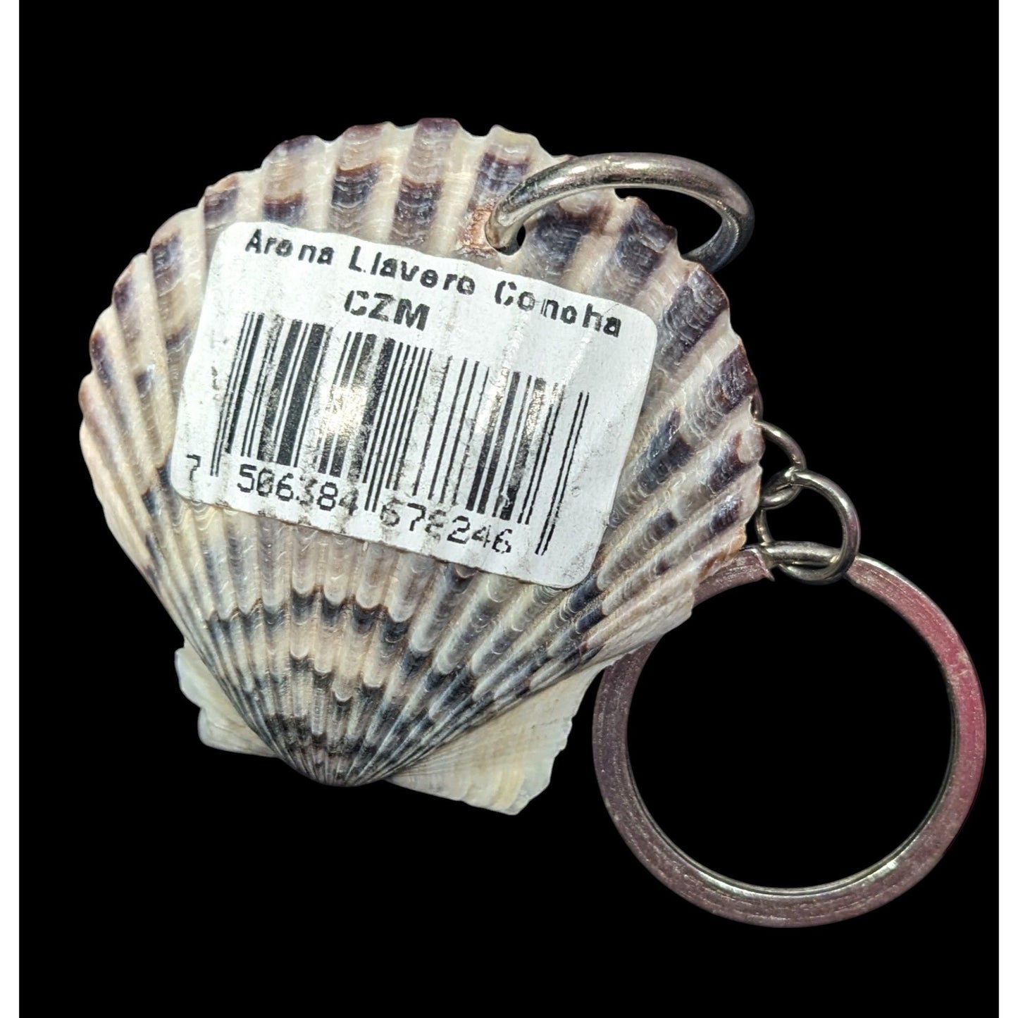 Cozumel Mexico Seashell Souvenir Keychain