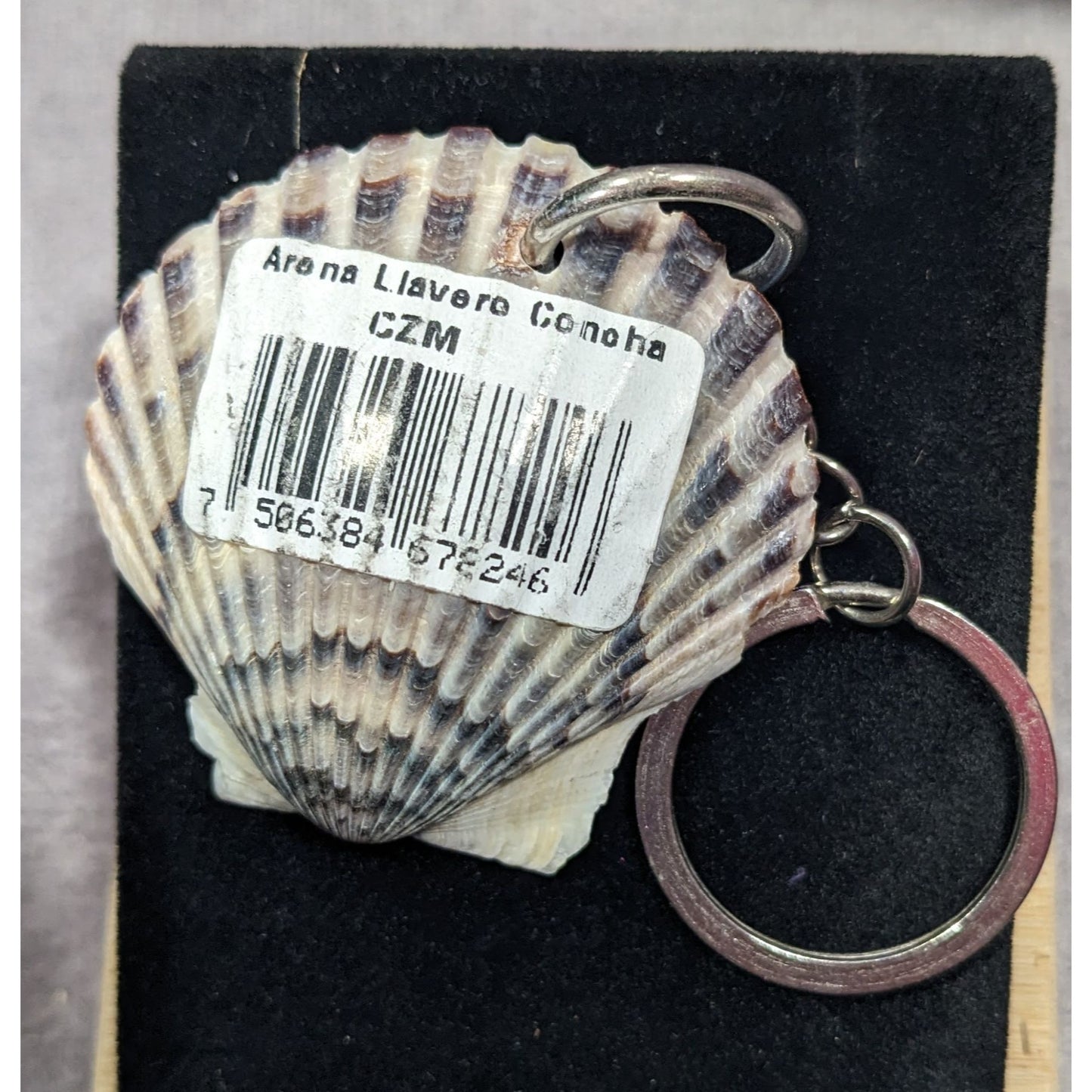 Cozumel Mexico Seashell Souvenir Keychain