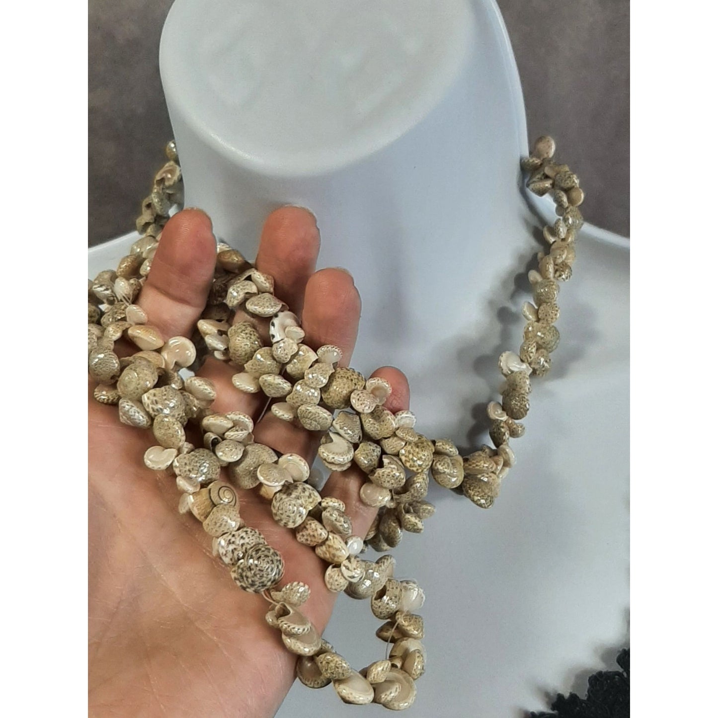 Beachy Braided Sundial Seashell Necklace