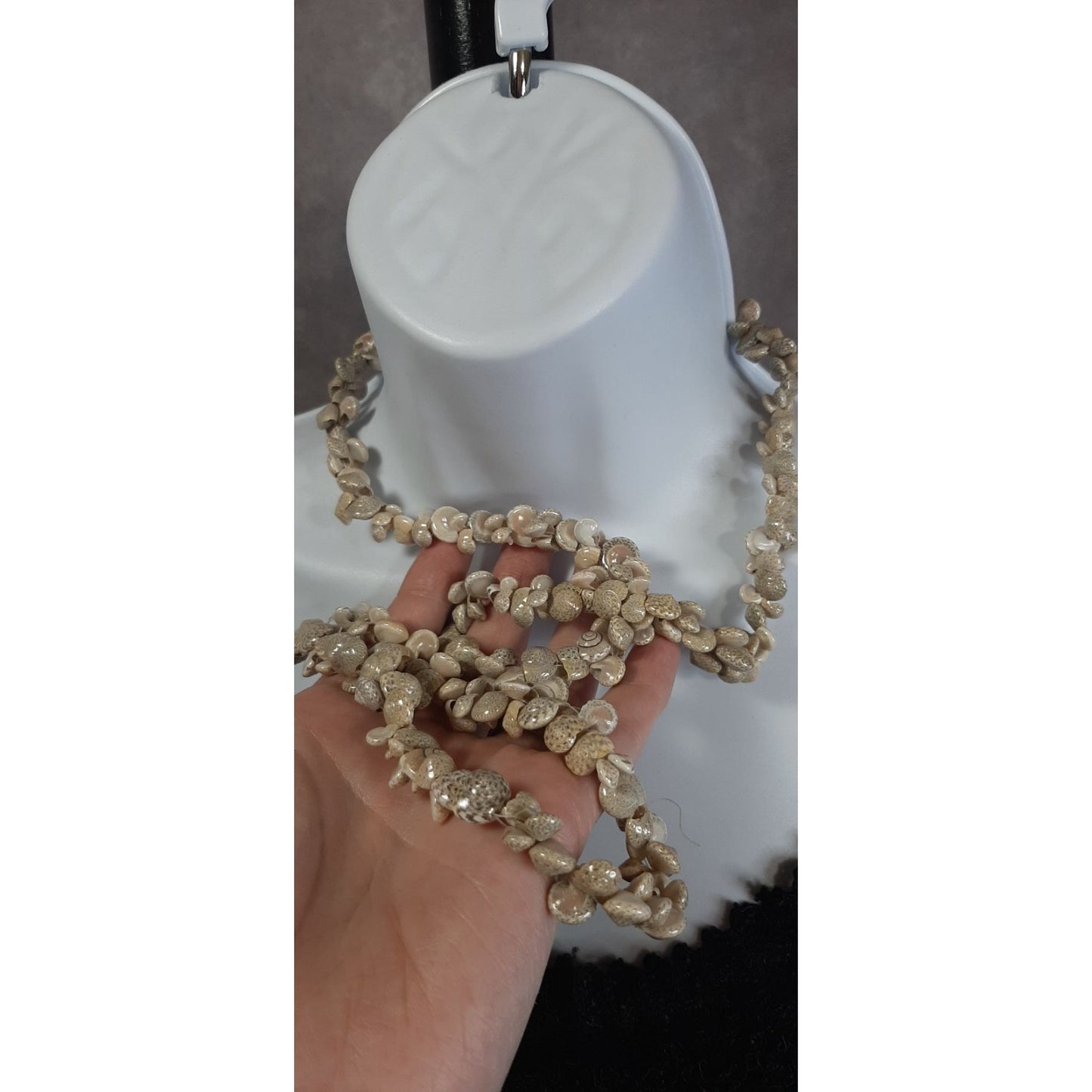 Beachy Braided Sundial Seashell Necklace