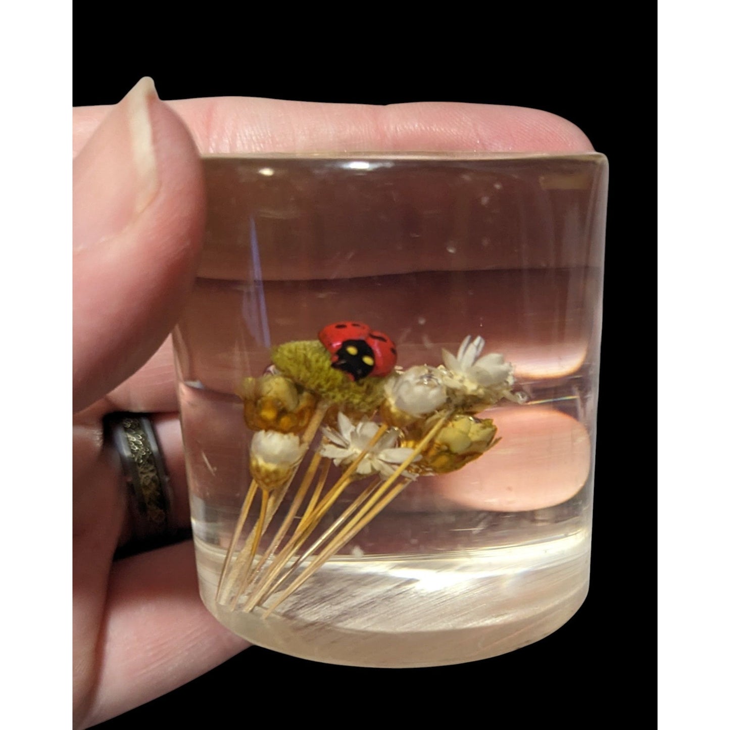 Vintage Handmade Dried Flowers And Faux Ladybug In Resin