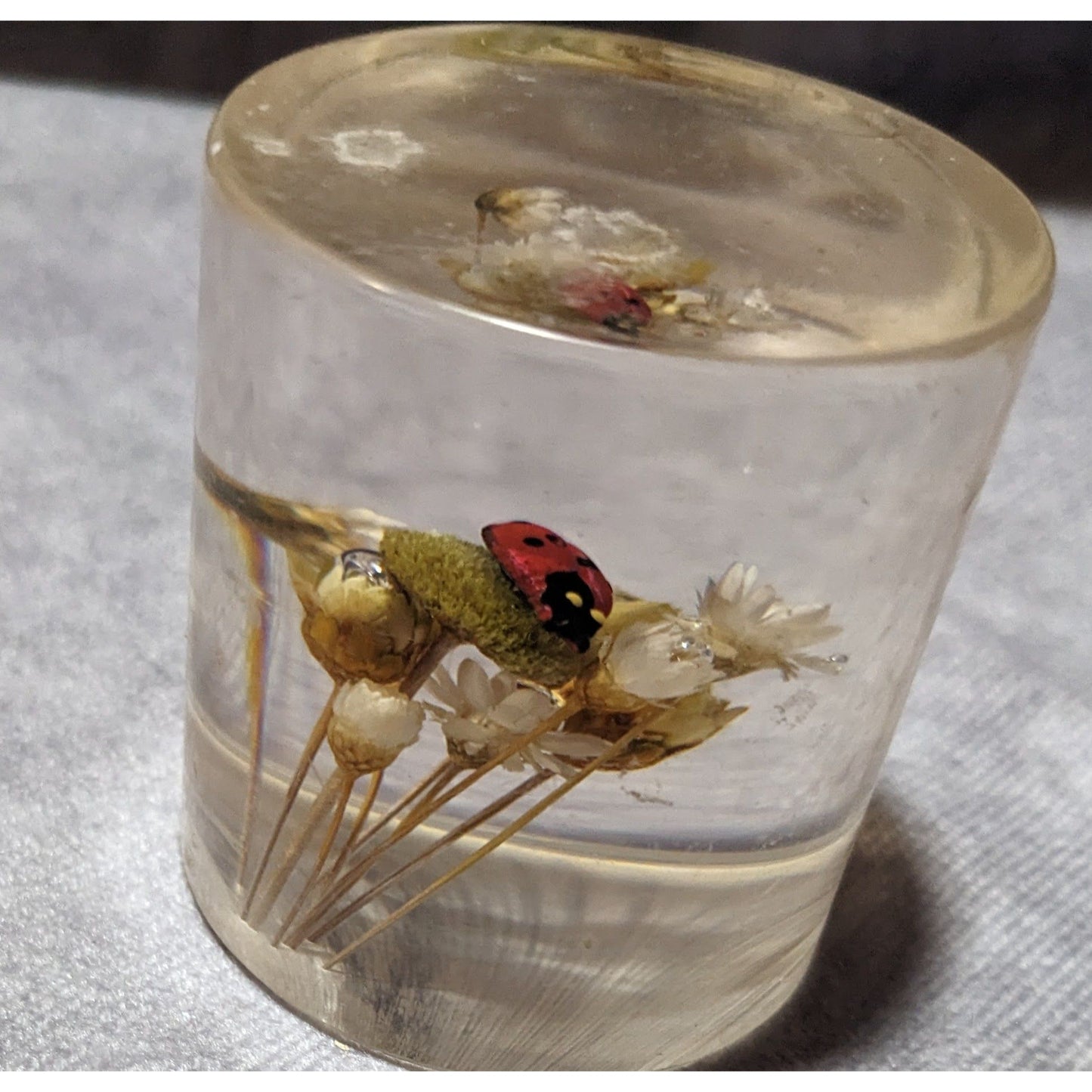 Vintage Handmade Dried Flowers And Faux Ladybug In Resin