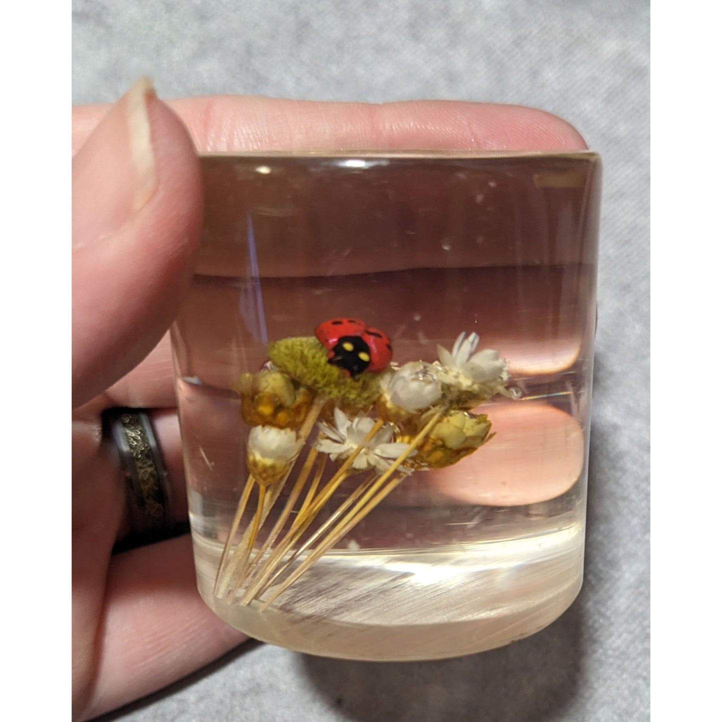 Vintage Handmade Dried Flowers And Faux Ladybug In Resin