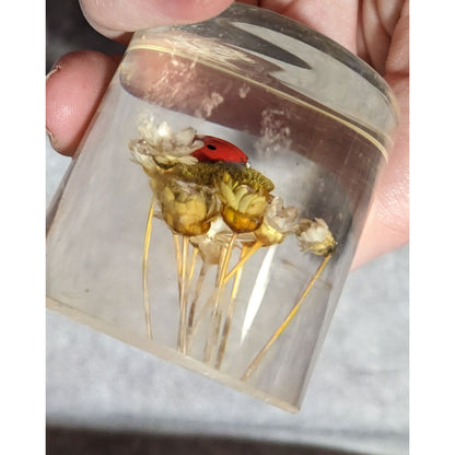 Vintage Handmade Dried Flowers And Faux Ladybug In Resin