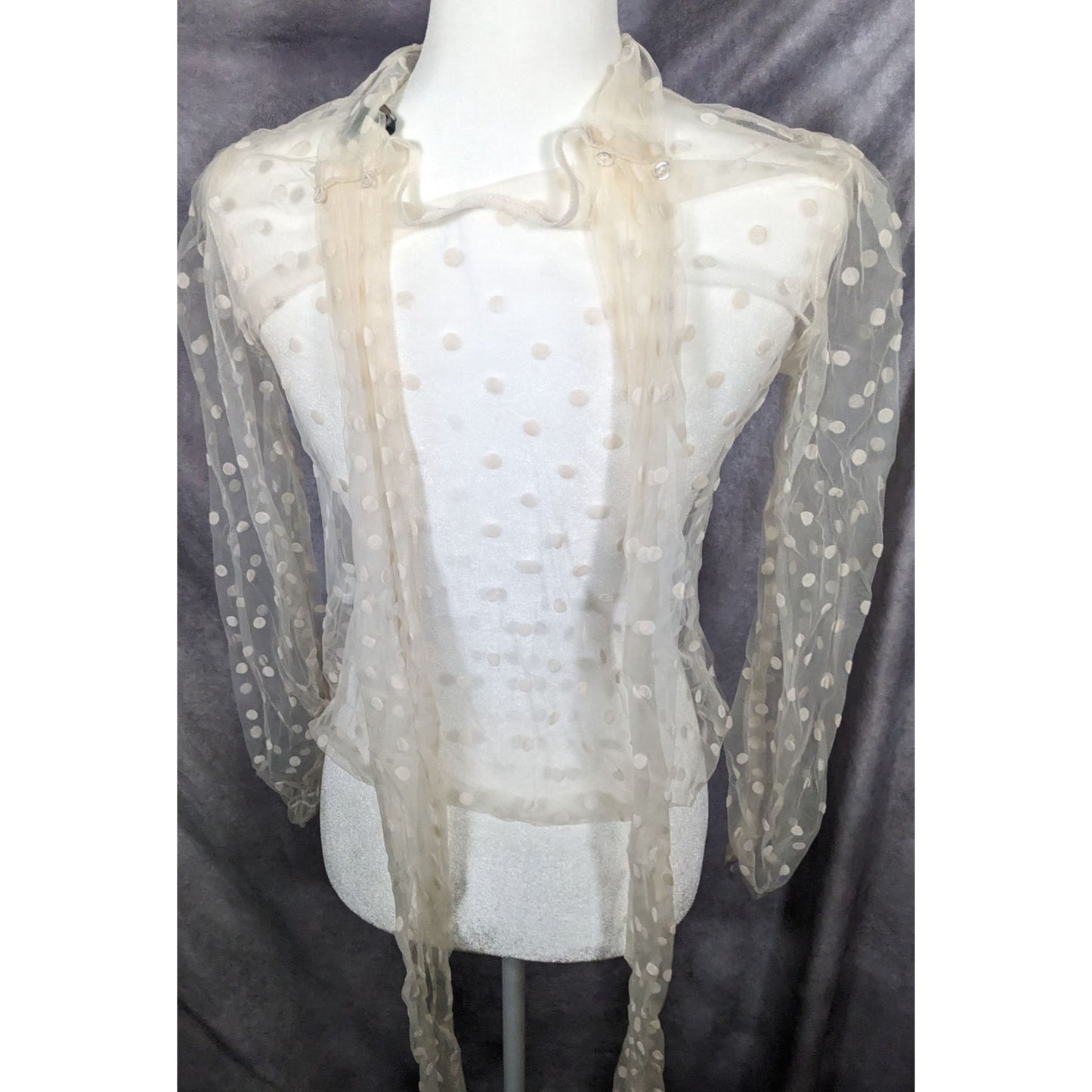 Preppy Banana Republic Sheer Cream Polka Dot Tie Neck Top[