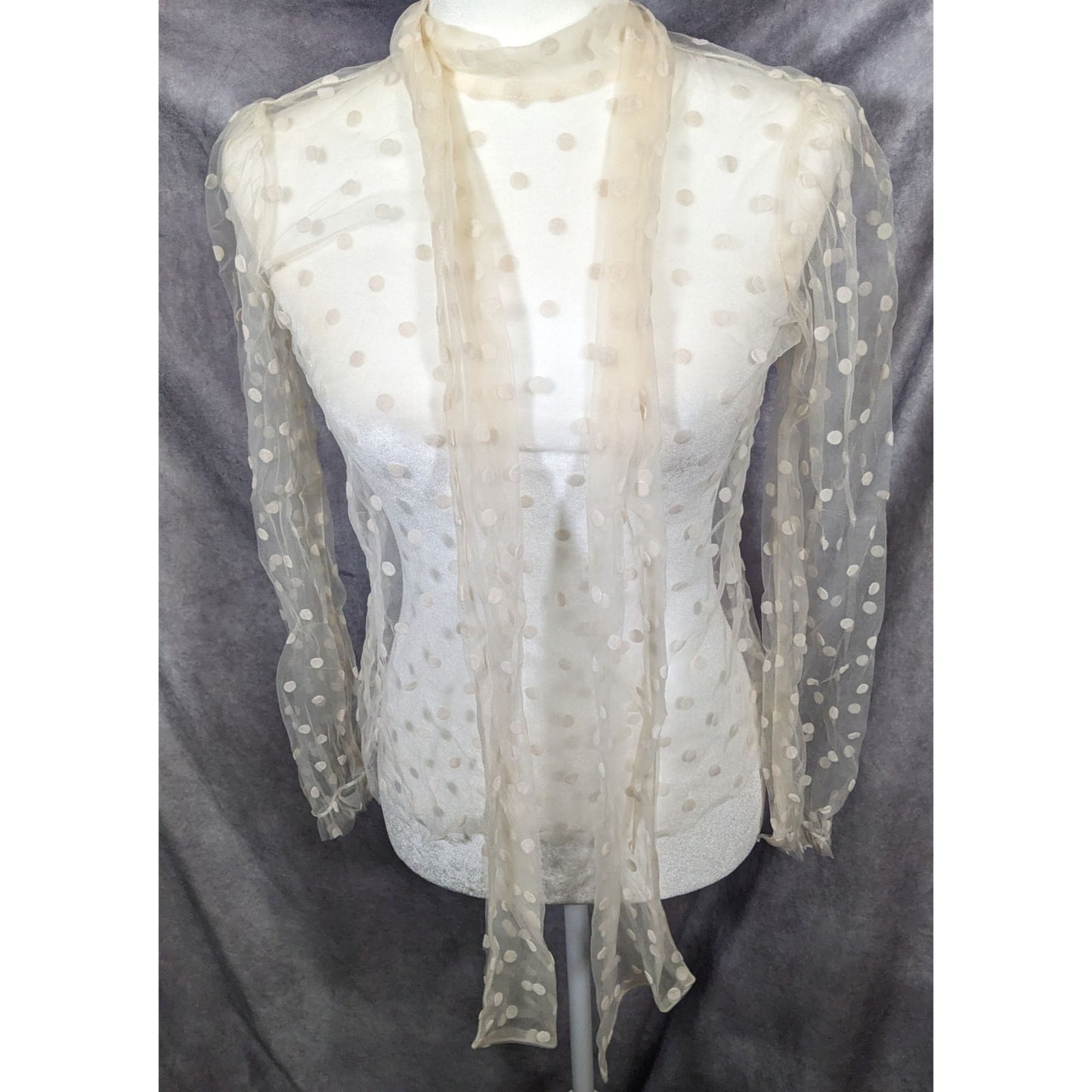 Preppy Banana Republic Sheer Cream Polka Dot Tie Neck Top[