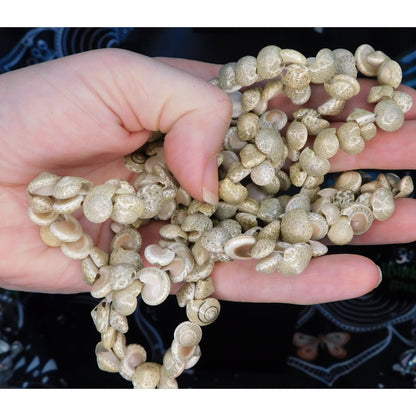 Mermaidcore Ocean Long Tan Shell Beaded Necklace